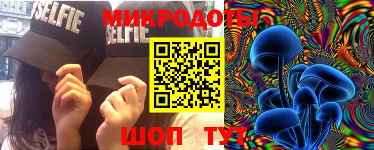 Галлюциногенные грибы Psilocybe Тара